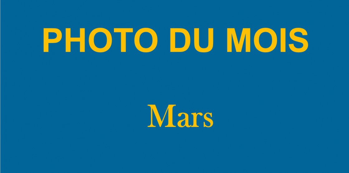 Photo du mois : Mars