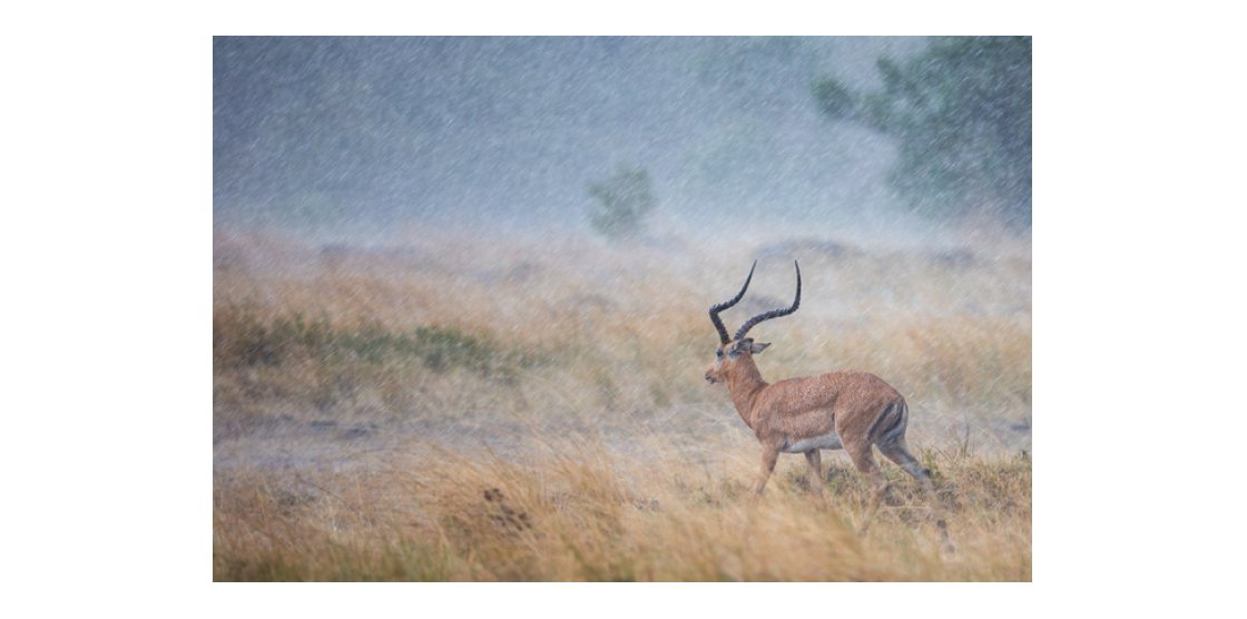 Georges Barré - Auteur Photographe Nature