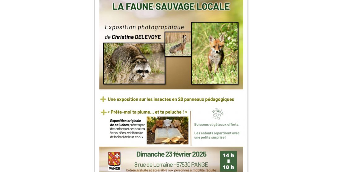 Exposition "La faune sauvage locale "