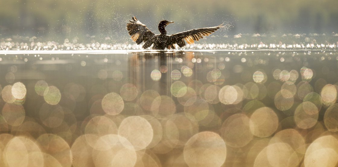 Reprise du Groupe Nature