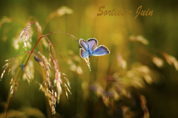 Sorties nature - Juin 2026