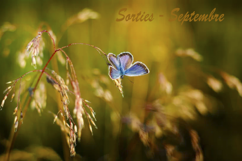 Sorties nature - Septembre 2026