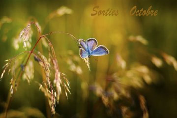 Sorties nature - Octobre 2026