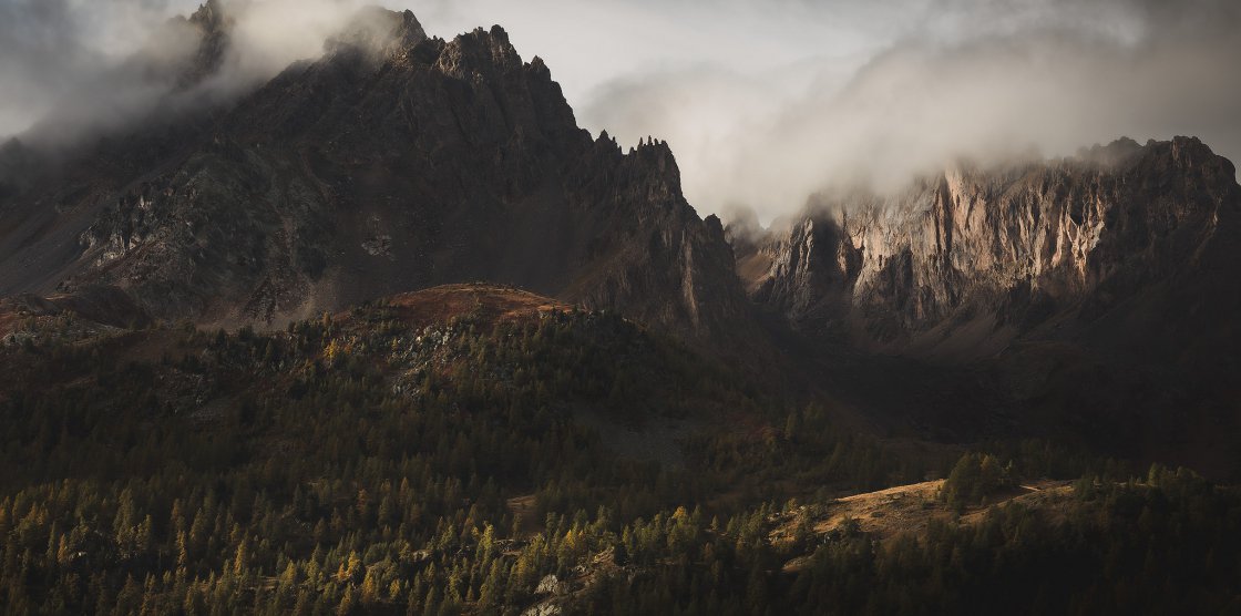 (c) Eurydice Danae Sv