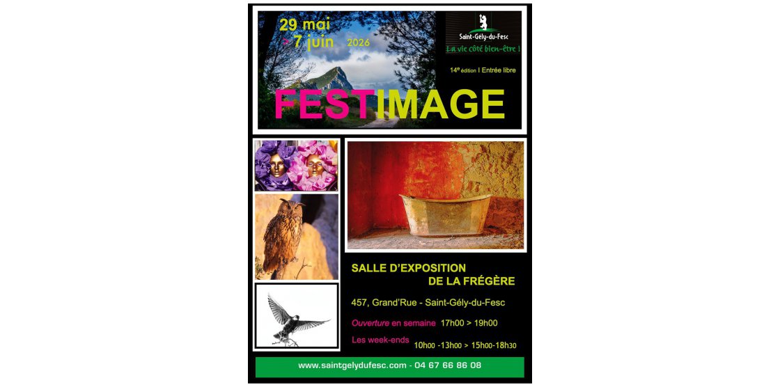 Festimage