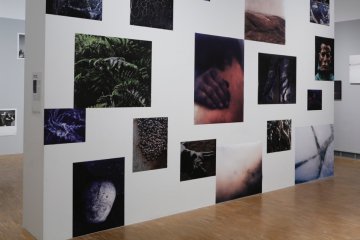 Exposition Marine Lanier, La vie dangereuse, 2014.