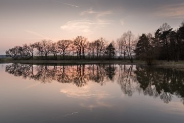 Michel WEILAND - Paysages poétiques - Les Bois de la Générose